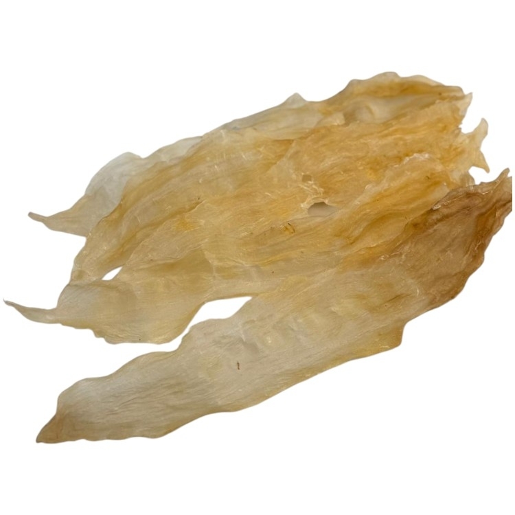 扎膠公 (14-18 頭斤)